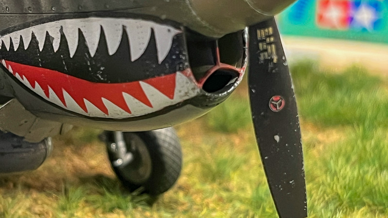 P-40 – Fotografie 4