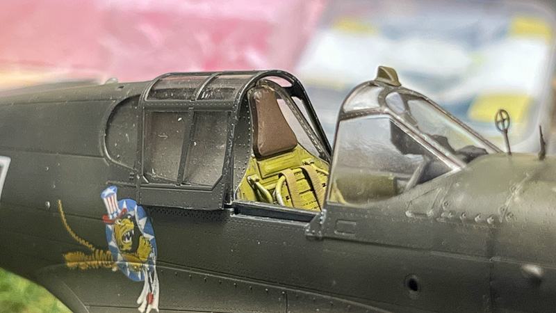 P-40 – Fotografie 5