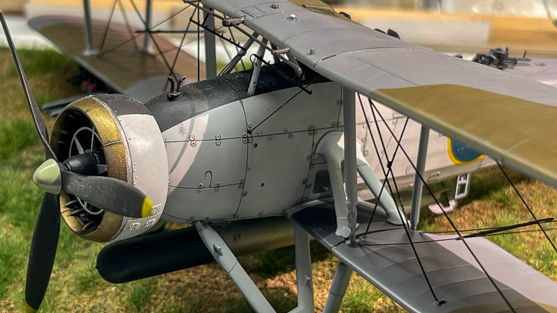 Swordfish – Fotografie 15